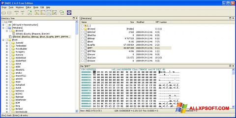 Στιγμιότυπο οθόνης DMDE Windows XP